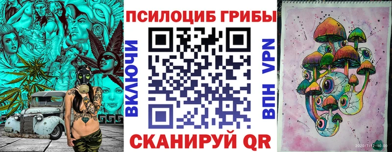 shop клад Бодайбо Псилоцибиновые грибы MAGIC MUSHROOMS